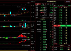 网达软件603189 主力资金动向与明日计算机软硬技术开发前景分析